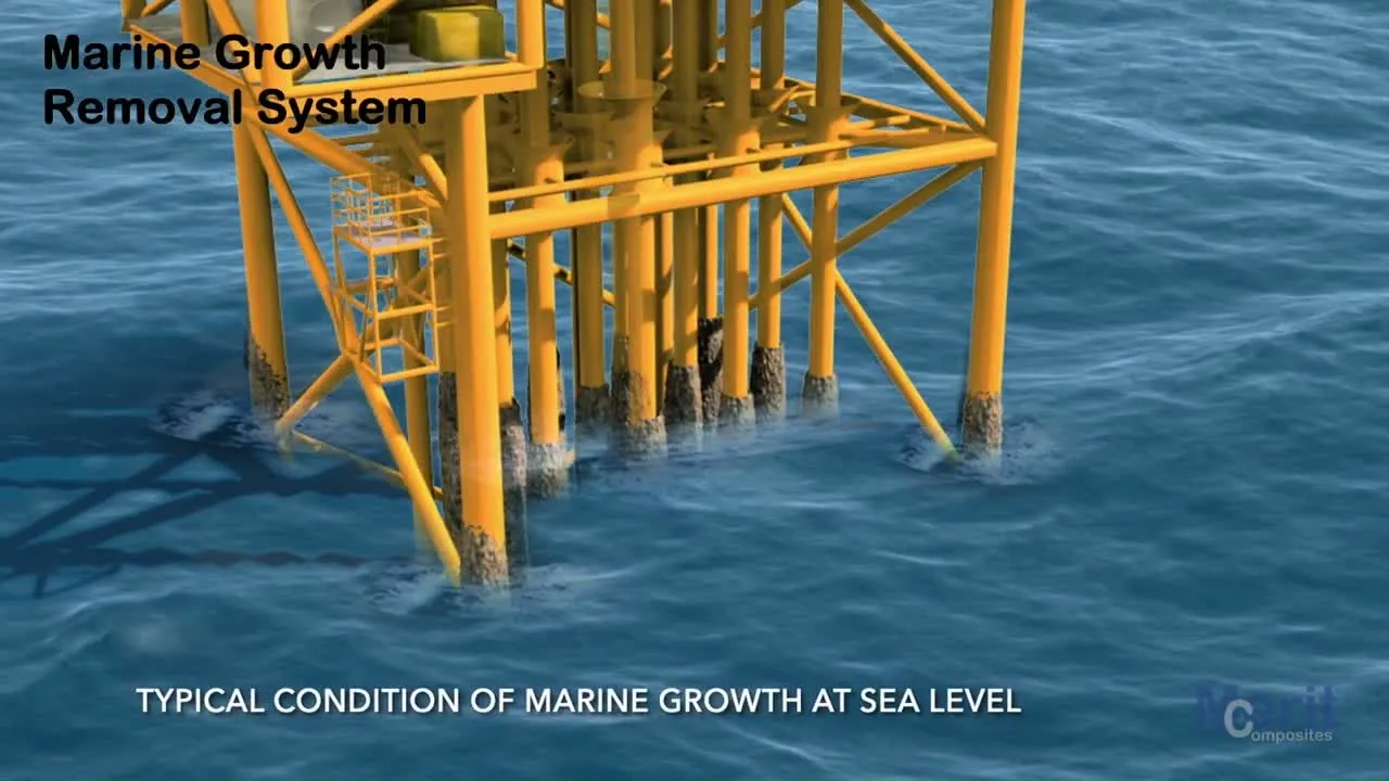 Marine Growth Removal System